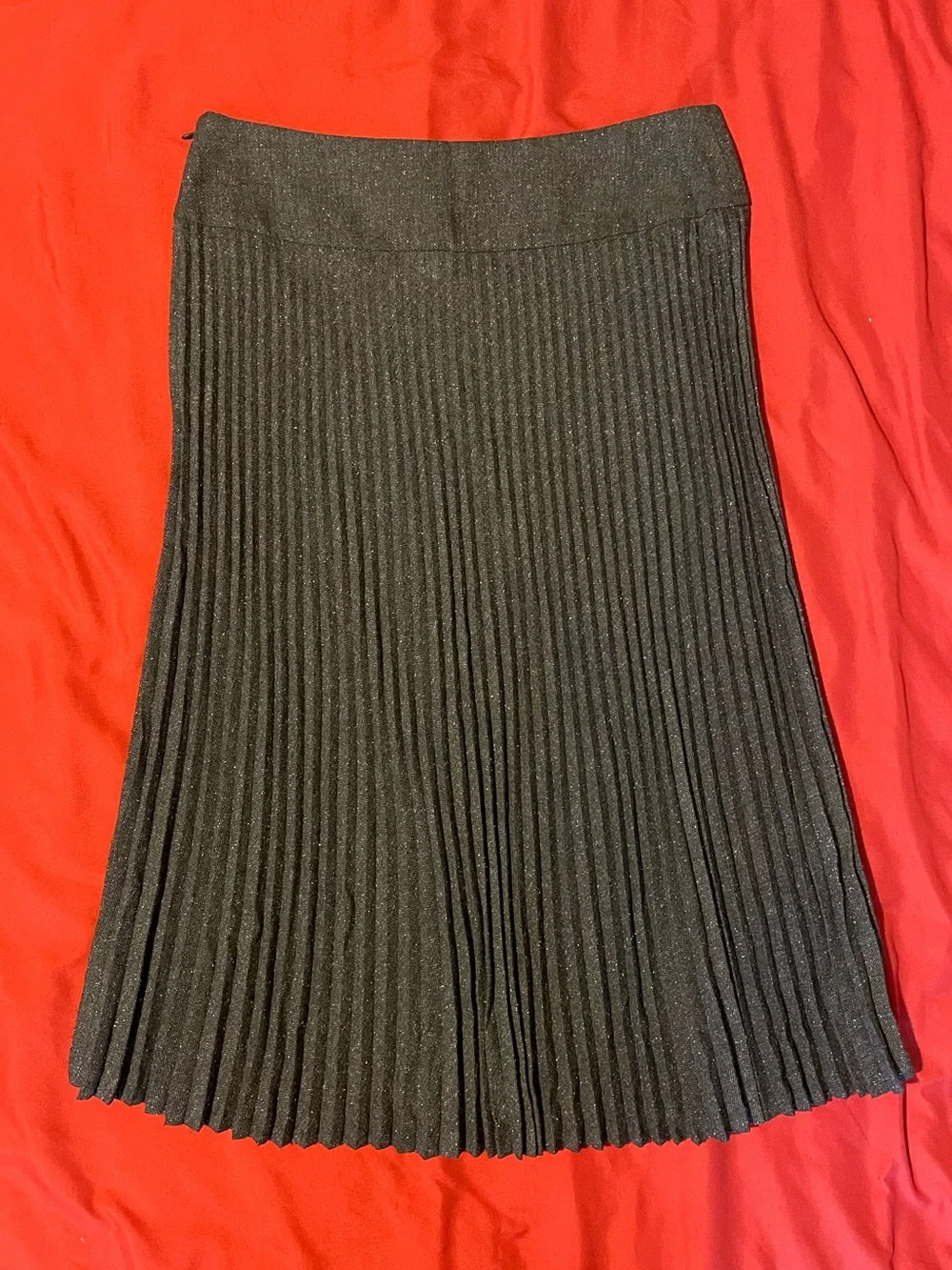 Express classic skirt